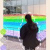 魚賊