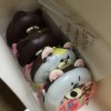 朱識文
