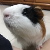 ㅇㅈ