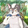 朝倉犬野