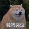 龍