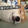冰冽