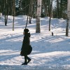 aubrey_chen