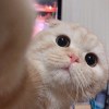 阿姨