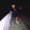 我是小猫啦