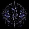 桔梗kikyo