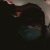 jia_fish_0125