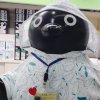 awful/coconut_okr