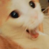 阿梓Azi