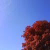 Azure-Cielo