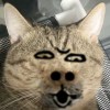 REN