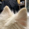 葉旻維