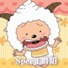 speed 爵阳
