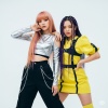 Y&J
