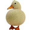 哈密呱🐥