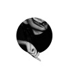 IAR Y