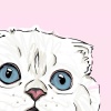 BellaY13