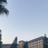 緋白