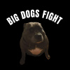 BIG DOGS FIGHT