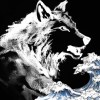 浪犬BillowMutt