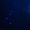 傻易