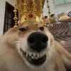 砝码