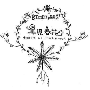 大紅