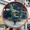 地瓜鳥 SoaAm Kong