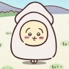YYUU