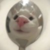 Xnnn