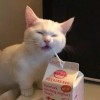 仙女Mimi??