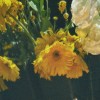 victan0723