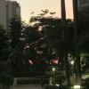 豆浆味汽水