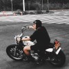 black_pine_120