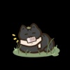 broad_rice_kbx