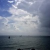 潘潘天天