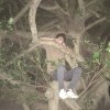 逼比.st-陪你遷徙