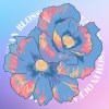 罌海花