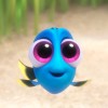 Dory 