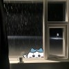 hsuan_hhhh