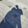 麋鹿