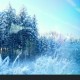 blue star