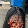 wenlin