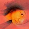 bosmin