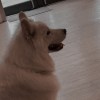 歪歪膩膩