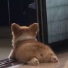 xxx指导