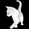 丸子Yzz