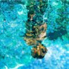 broken_waterfall_vp7