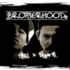 brotherhood