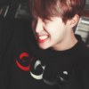 bts11305566